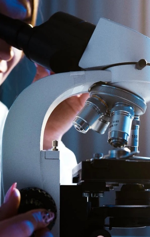 Pharmaceutical and Biotechnology